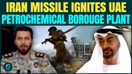 Iranian Missile BLASTS UAE Petrochemical Borouge Plant | Abu Dhabi Halts Ops Afetr Iran War Damage