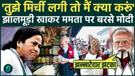 PM Modi Jhalmuri VIDEO: Didi kept dancing, PM Modi set up Bengal from Jhalmuri for 10 rupees