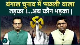 West Bengal Elections Voting : Fish politics in Bengal, who will benefit? | Mamata Banerjee