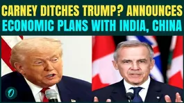 Carney’s Counterattack Against Trump’s 100% Tariffs: Announces Trade Plans With India, China