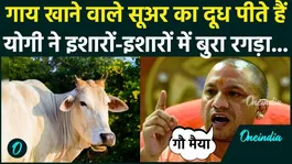 Those who eat cows drink pig's milk, Yogi Adityanath gave a fiery speech on Nari Vandan Samman | UP