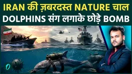 Iran’s Alleged Use of Marine Tactics Sparks Debate: Dolphins, Naval Warfare, and Rising Tensions