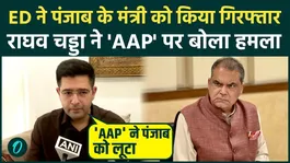 Sanjeev Arora Arrested by ED: Punjab Minister Sanjeev Arora Arrested; Raghav Chadha Corners AAP.