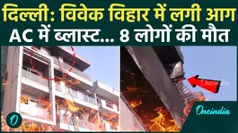 Delhi Fire Accident: Fire Rages in Vivek Vihar... 8 People Meet a Tragic End!