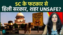 SC Stray Dogs Order Sparks Big Questions Over Government Failure And Unsafe Indian Cities