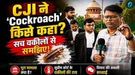 What exactly was the CJI's "Cockroach" statement? A major debate erupted in the Supreme Court. Lawyers unpacked the entire matter.