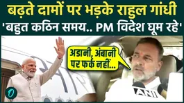 Rahul Gandhi corners PM Modi over the country's economic situation, says: "Instead of taking action, Modi ji..."