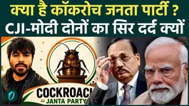 What is the Cockroach Janta Party? CJI Surya Kant's statement sparked uproar. Why was PM Modi attacked? 3 key reasons.