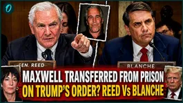 Trump WORRIED Maxwell Will EXPOSE His Minor RaPe Secrets? Blanche CORNERED By Reed in Fiery Hearing