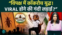 CJP vs Congress Cockroaches: Is India’s Opposition Fighting for Clout and Virality?