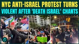 NYC Anti-Israel Protesters CLASH With Cops Near Synagogue, Protestors Chant ‘Death For Israel’