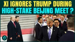 Trump-Xi MEET: Xi Barely Looks At Trump During Beijing Meeting | Trump HUMILIATED Globally?
