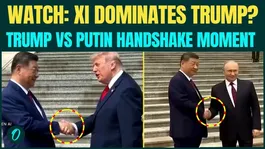 Trump VS Putin HANDSHAKES: Did Xi Outplay Trump? Viral Xi-Putin handshake Moment Sparks Power Debate