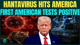 Hantavirus BREAKING: First American Tests Positive, New Lockdown In U.S. Soon? 3 Dead In Few Hours
