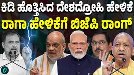 BJP lashes out at Rahul over RSS, Modi, Shah are anti national remark