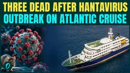 Hantavirus Outbreak On Cruise: 3 Dead After DEADLY Virus Spread In ATLANTIC Cruise Ship