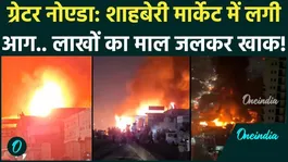Greater Noida Fire Breaking: Massive Blaze Erupts in Shahberi Furniture Market, Huge Loss Reported