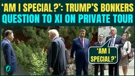 Trump BEGS Xi For ‘SPECIAL STATUS’, EMBARRASSES Himself in Beijing - Trump’s CRINGE Question To Xi