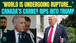 ‘Hegemons Disobeying Rules’ Canada PM Carney’s Veiled Attack on U.S Steals Limelight in Armenia