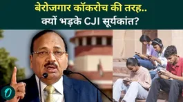 Why CJI Surya Kant Slam Unemployed Youth? Remarks on Cockroach Mentality, Activists Spark Debate