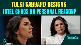 Tulsi Gabbard Resigns BREAKING: Tulsi QUITS Trump Team Amid Iran Intel Chaos? Personal Reason Out