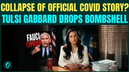 Fauci Misled Congress Over COVID Origins? Tulsi Gabbard’s Final Move as DNI | COVID Secret OUT?