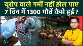 1,300 deaths due to the European heatwave; cities melting as temperatures cross 40 degree C-5 major reasons that will leave you stunned.