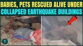 MIRACLE SURVIVORS Of Venezuela Quake: Babies, Pets &amp; More Rescued Alive From Collapsed Buildings