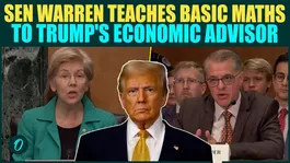 Senator Warren FORCED To Teach Basic Math To Trump’s Economic Pick Awkward Hearing Moment Goes Viral