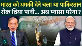Pakistan Threatens India Over Indus Waters Treaty, Says 'We'll Cut Hands If Water Is Stopped'