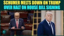‘Idiot Thing In His Head’: Schumer BLASTS ‘King’ Trump Over Cancellation of Housing Bill Signing