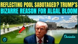 U.S BREAKING: Trump Blames ‘VANDALS’ for Reflecting Pool Disaster; Algal Bloom Scandal Spirals