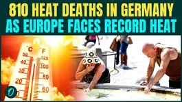 Europe Heatwave BREAKING: 810 Deaths Reported In Germany As Temperatures Rise Above 40 degree
