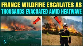 France BATTLES Massive Wildfires After Record Heatwave, 2,000 EVACUATED As Winds Fuel Deadly Blaze