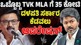 Tamil Nadu Political Storm: Alleged Plot to Topple CM Vijay's TVK Government Foiled