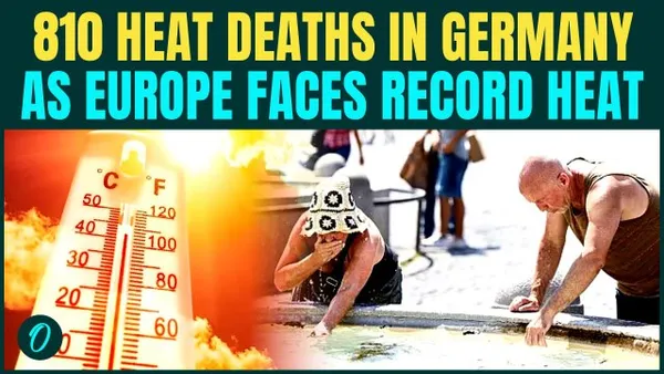 Europe Heatwave BREAKING: 810 Deaths Reported In Germany As Temperatures Rise Above 40 degree