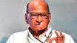Congress Backs Sharad Pawar As Mva Candidate For Rajya Sabha From Maharashtra 8016783.html