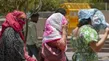 Tamil Nadu Weather: Karur Hits 41°C, Erode Touches 40°C As Mercury Soars Across State