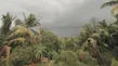 Bengaluru Weather: IMD Warns of Thunderstorm Till May 14 As Rain, Gusty Winds Set To Cool City This Week