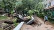 IMD Sounds Red Alert For Mumbai, Thane and Raigad; Asks People To Avoid Non Essential Travel