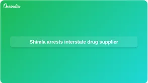 Interstate drug supplier arrested after Shimla chitta and ice seizure, police say