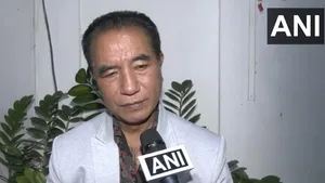 ZPM Wins Mizoram: Know All About The State's New CM Face Lalduhoma