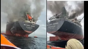 Thai Cargo Ship Bound For India Hit By Projectile In Strait Of Hormuz Three Crew Members Missing 8023391.html