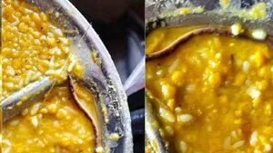Snake Found In Bihar School Meal, Children Fall Ill After Eating Mid-Day Lunch