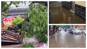 Mumbai Rains Roads Flooded Train Tracks Submerged After Overnight Deluge City On Red Alert Today 8127927.html