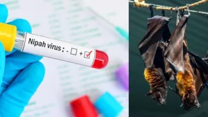 Kerala On Nipah Alert After Kozhikode Mans Preliminary Test Turns Positive 8114889.html