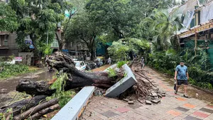 IMD Sounds Red Alert For Mumbai, Thane and Raigad; Asks People To Avoid Non Essential Travel