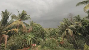 Bengaluru Weather: IMD Warns of Thunderstorm Till May 14 As Rain, Gusty Winds Set To Cool City This Week