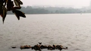Hebbal, Nagawara Lake Projects Reclaim 21 Acres Of Encroached Land For Wetlands And Walking Tracks