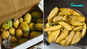 Woman’s Viral ‘Chemical-Free’ Mango Complaint Sparks Debate Over Artificial Ripening